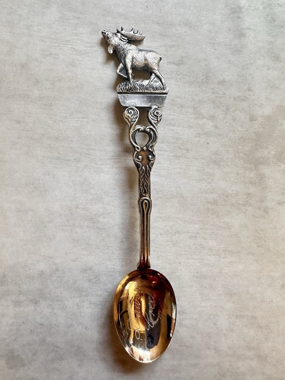 V9 Vintage Souvenir Dawson Creek Silver Plated Collectible Spoon Germany 4"